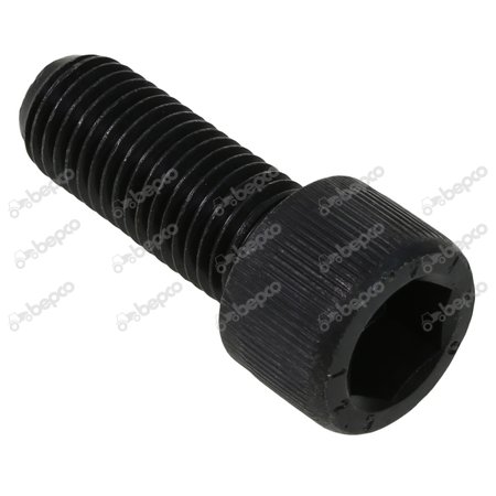 SCREW M20X56