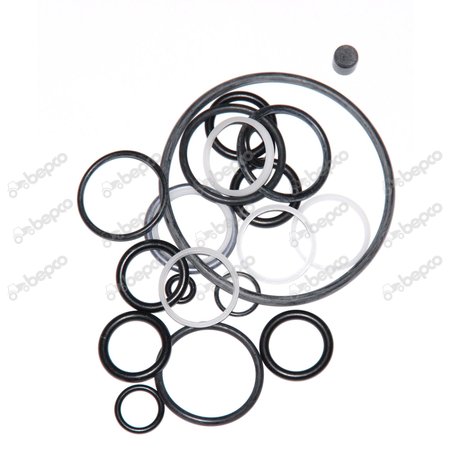 SEALS AND GASKET KIT 