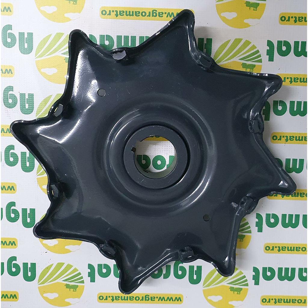 Steluta Batator 634977