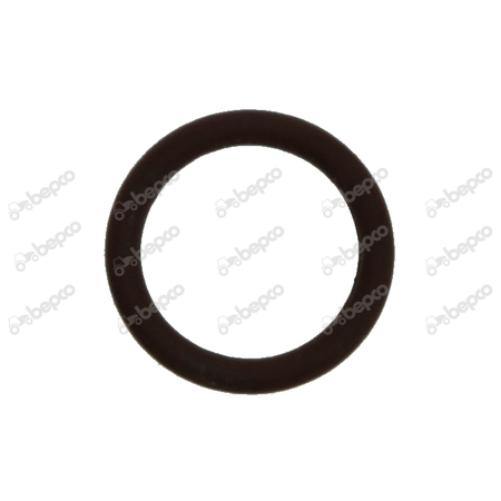 'o' ring 