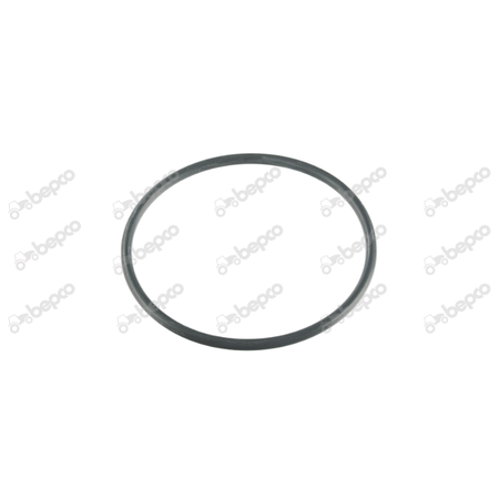 SEAL 58X3MM