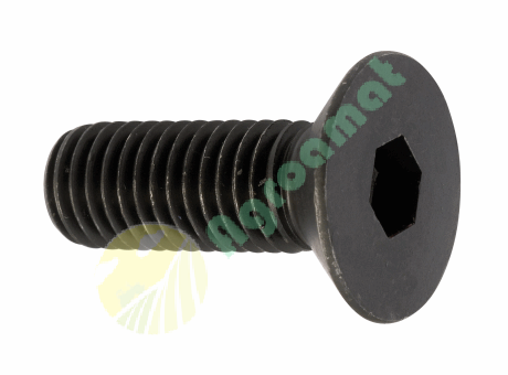 Surub cu Cap Inecat si Locas Inbus M10X50