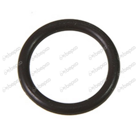 O RING 
