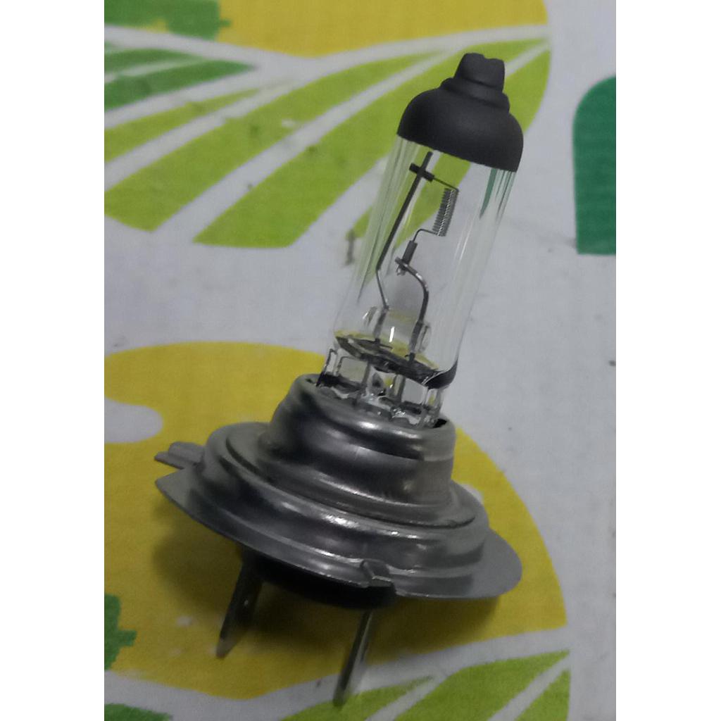 Bec Far H7 12V/55W PX26D