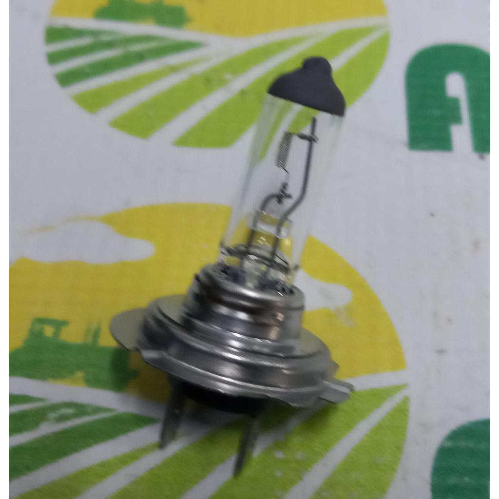 Bec H18 12V 65W