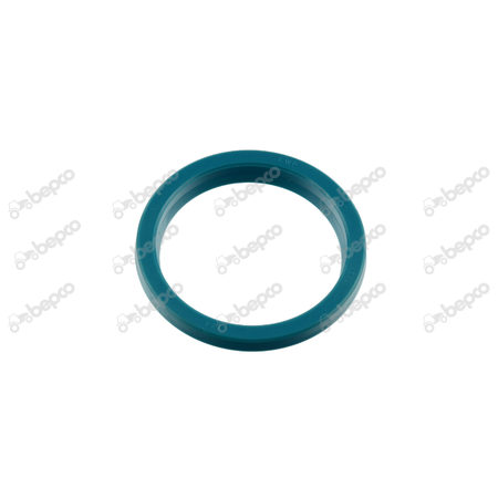 SEAL 45X55,6X5,3MM