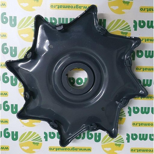 [AMAT1-08509] Steluta Batator 634977