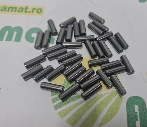 [AMAT1-08486] Rulment Pinion Satelit 5101688