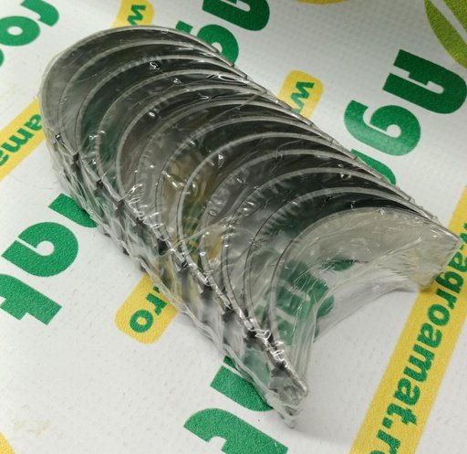[AMAT1-08428] Set Cuzineti Biela 02290019
