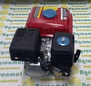 Motor pe Benzina 7.5CP