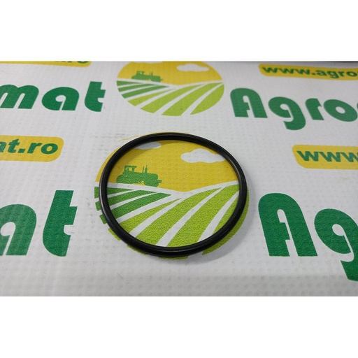 [AMAT1-08012] O-Ring