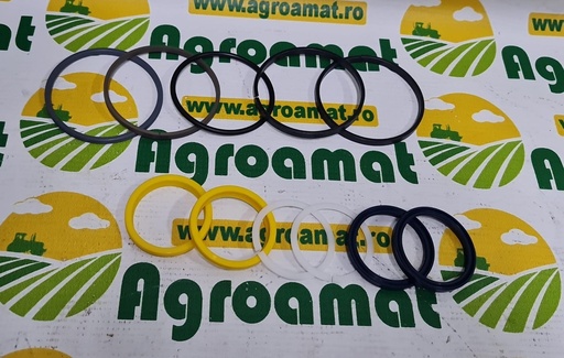 [AMAT1-51573] Set Garnituri Cilindru Directie  1341819C1