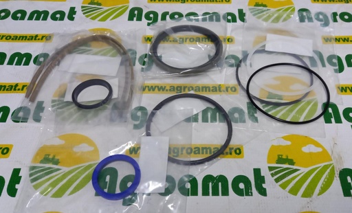 [AMAT1-43903] Kit Reparatie Cilindru V31954800