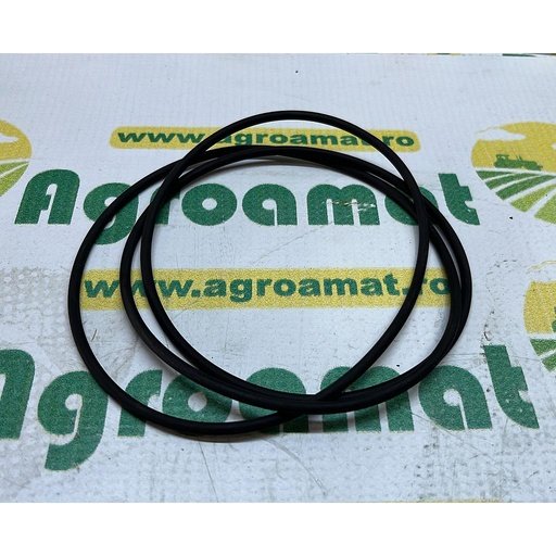[AMAT1-07692] O-Ring 1610179M5