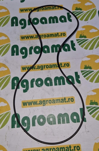 [AMAT1-45453] O-ring 325x4mm