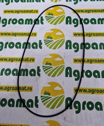 [AMAT1-45455] O-ring 300x4mm