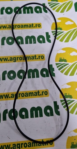 [AMAT1-45458] O-ring 270x4mm
