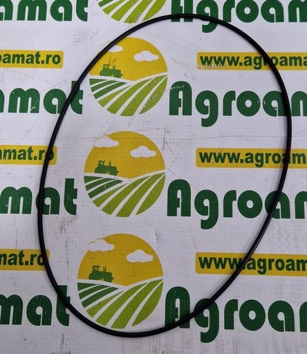 [AMAT1-45463] O-ring 250x4mm