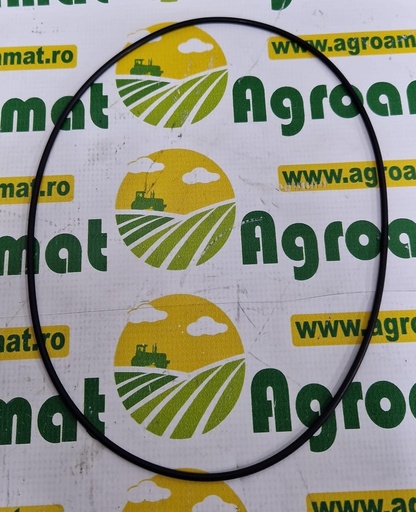 [AMAT1-45464] O-ring 245x4mm