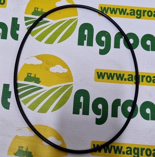 [AMAT1-45491] O-ring 172x4mm