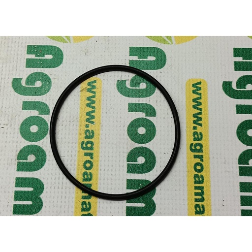 [AMAT1-07417] O-Ring X548977501000