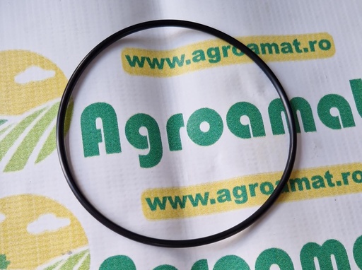 [AMAT1-45541] O-Ring 120x4mm