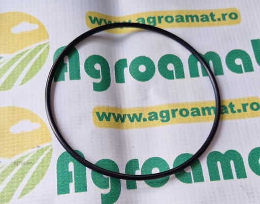 [AMAT1-45542] O-Ring 119x4mm