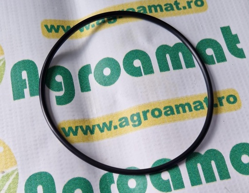 [AMAT1-45547] O-Ring 112x4mm