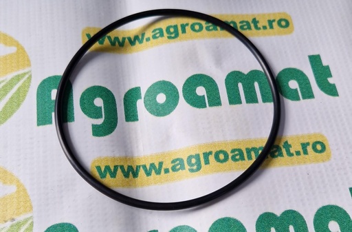 [AMAT1-45548] O-Ring 113x4mm
