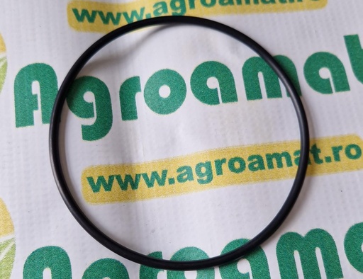 [AMAT1-45554] O-Ring 107x4mm