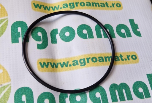 [AMAT1-45559] O-Ring 102x4mm