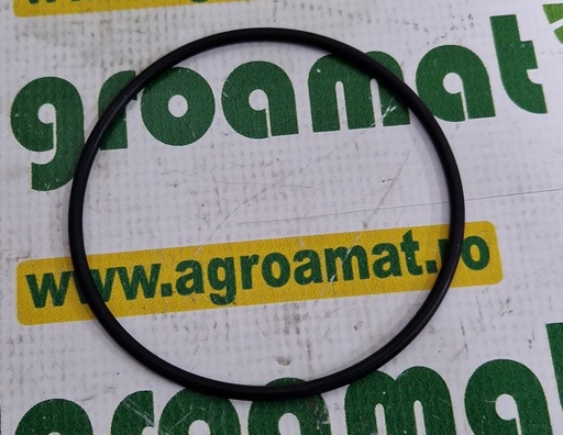[AMAT1-45560] O-Ring 101x4mm