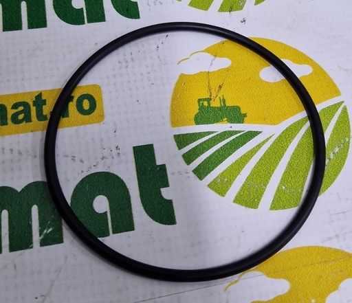 [AMAT1-45562] O-Ring 99x4mm