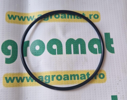 [AMAT1-45564] O-Ring 98x4mm