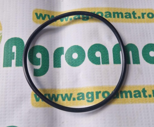 [AMAT1-45572] O-Ring 91x4mm