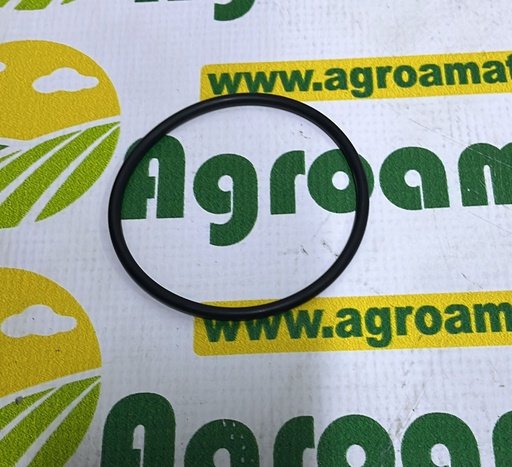 [AMAT1-45589] O-Ring 76x4mm