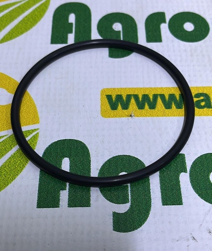 [AMAT1-45592] O-Ring 75x4mm