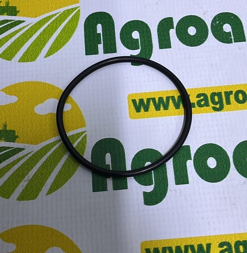 [AMAT1-45595] O-Ring 74x4mm
