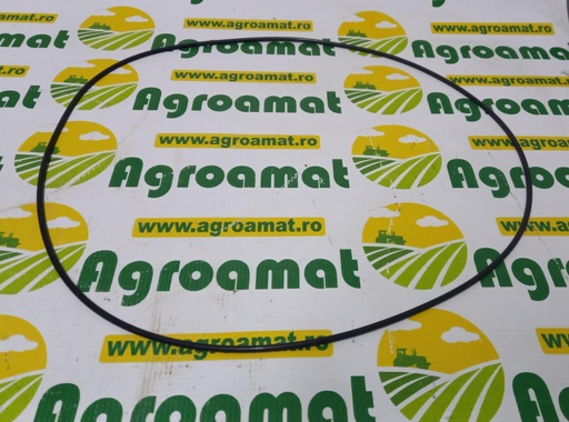 [AMAT1-45980] O-ring 360x4mm