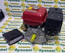 Motor cu Electromotor pe Benzina 9CP