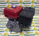 Motor pe Benzina 9CP