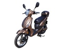 Scuter electric Thor Daily 500W 48V20Ah – maro