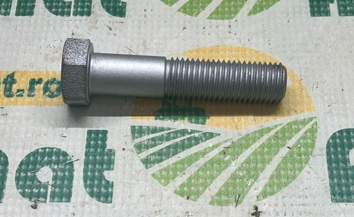 [AMAT1-49828] Bolt N858899