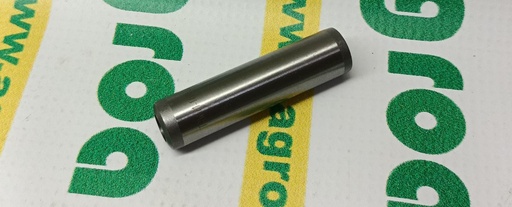 [AMAT1-50380] Ghid Supapa 4601299