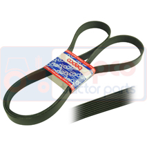 [AMAT1-06590] Curea