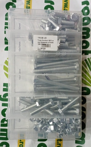 [AMAT1-52725] Trusa Suruburi M10 cu cap Hexagonal si Piulite 100 Piese
