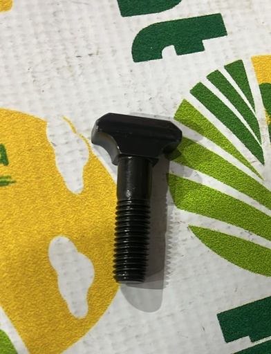 [AMAT1-52898] Surub Lant Cap T M10x47