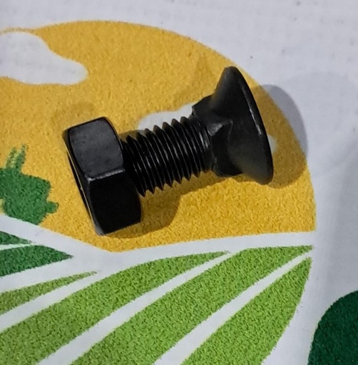 [AMAT1-53737] Surub Cap Plat Gat Patrat M10x25mm