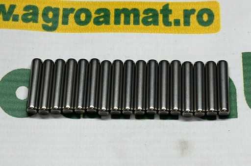 [AMAT1-55582] Rulment Pinion Satelit Fata 5103755