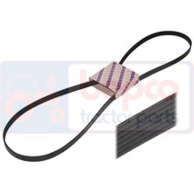 [AMAT1-06066] Curea
